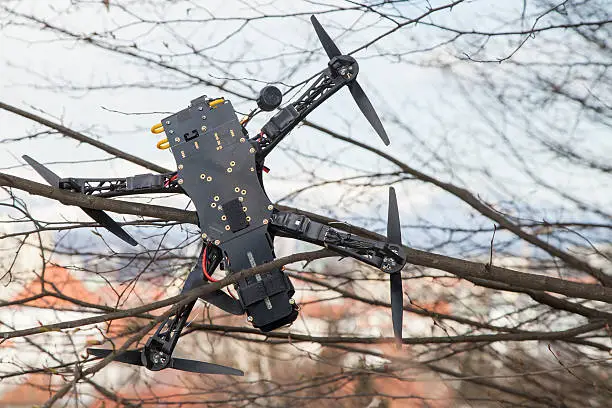 Photo of Drone quadcopter crashed on tree in city park