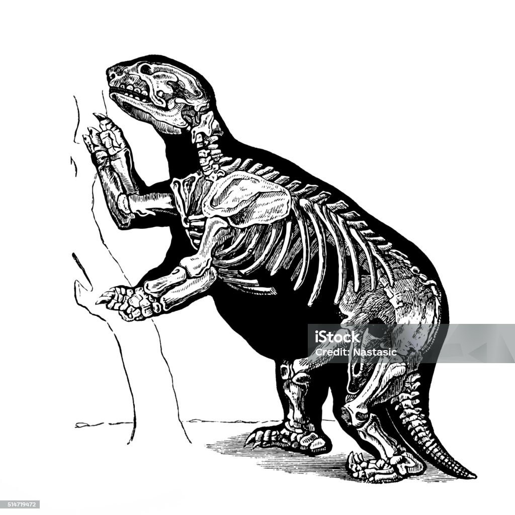 메가테리움 Megatherium 메가테리움에 대한 스톡 벡터 아트 및 기타 이미지 - 메가테리움, 고대 역사, 고생물학 - Istock