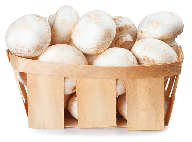 istock mushrooms champignon in a wicker basket isolated on white 514719494