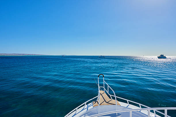 istock beautiful summer on the sea 514719872