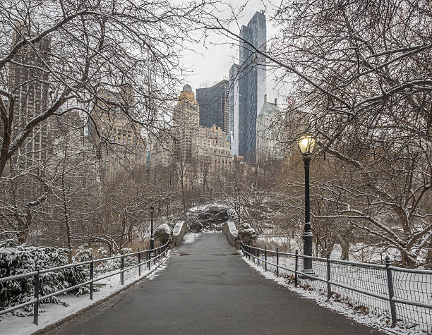istock Gapstow bridge Central Park, New York City 514723146
