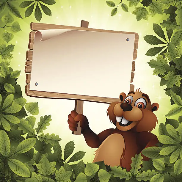 Vector illustration of Beaver holding a Wooden Sign