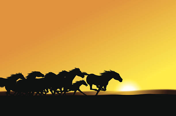 Wild Horses - Stampede Background Wild Horses - Stampede Background. Grunge style silhouette illustration of a Horse rearing. layered for easy color changes. Check out my "Farming" light box for more. mustang stock illustrations