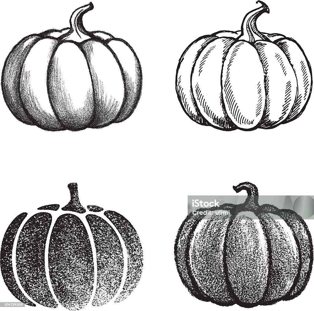 Pumpkin Pumpkins, set of 4 variation. Pumpkin stock vector