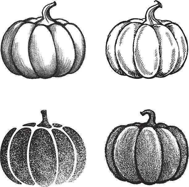 Pumpkin Pumpkins, set of 4 variation. pumpkin stock illustrations