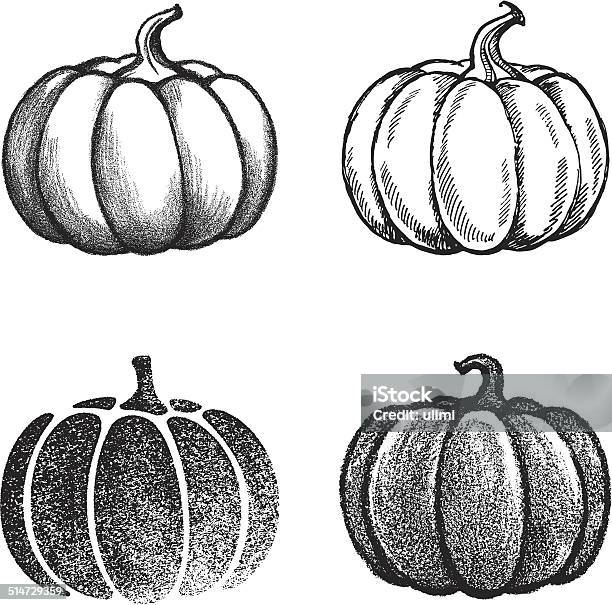 Pumpkin Stock Illustration - Download Image Now - Pumpkin, Illustration, Drawing - Activity