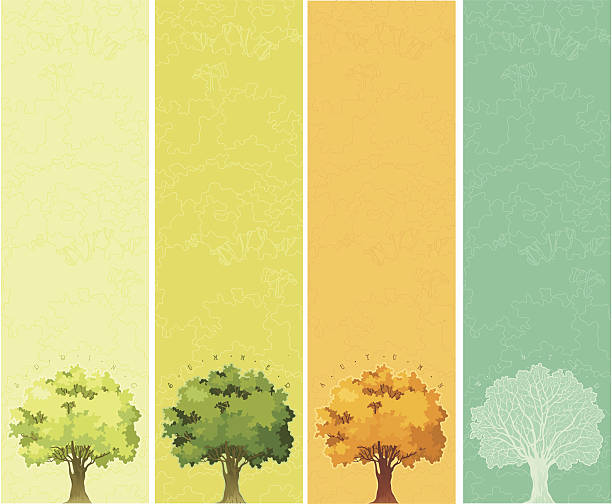 Cuatro estaciones-primavera, verano, otoño, invierno - ilustración de arte vectorial