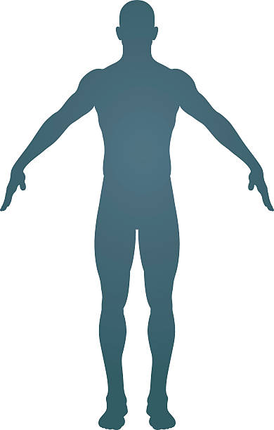 Download Ai Generated, Man, Body. Royalty-Free Stock Illustration Image ...