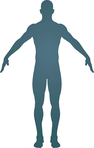 Human body silhouette. Man body outline.