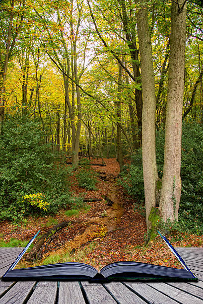 istock Book concept Beautiful vibrant Autumn Fall colors in forest land 514730463