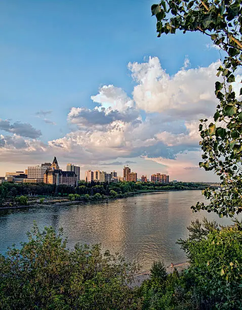Downtown Saskatoon cityscape with Bessborough Hotel, high rise buildings and condominiums visible along South Saskatchewan River.  Image captured in early evenig.  River Valley trees and bushes visible in foreground.