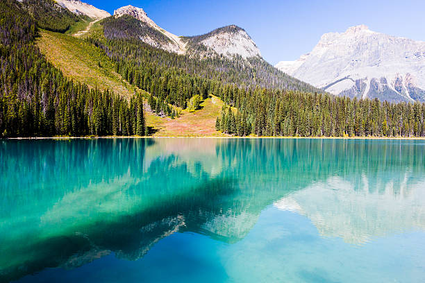 istock Emerald Lake, Yoho National Park, British Columbia, Canada 514731080