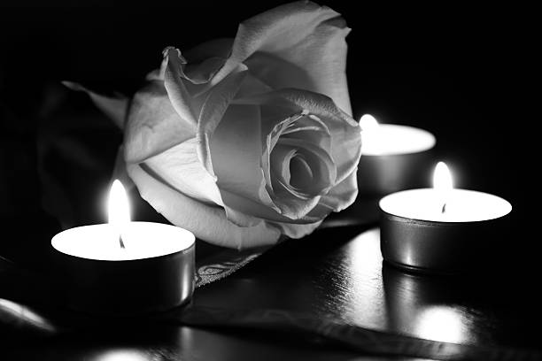 istock Macro of delicate rose with candles 514731358