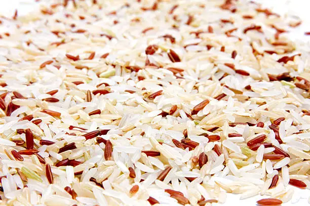 Rice seed on white background.