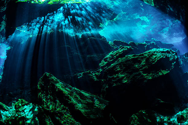 Cenotes Amazing sight of the underwater cenotes. puerto aventuras stock pictures, royalty-free photos & images