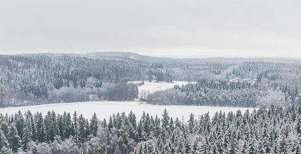 istock Wintry forest landscape in Finland 514734118