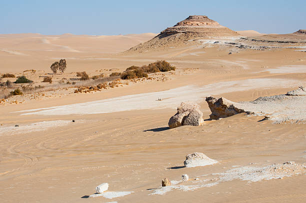 istock Golden sand in Sahara desert in Egypt 514735120
