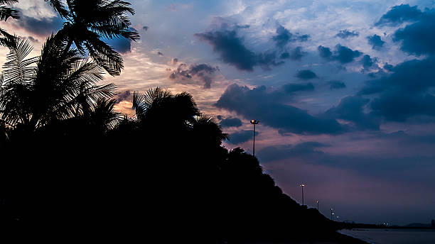 istock silhouette of coconut tree colorful sky and clouds at beach 514736092