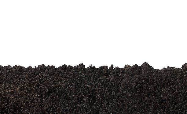 texture de sol - humus soil photos et images de collection