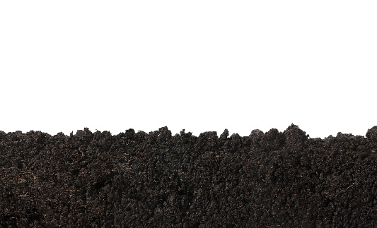 Cross section of soil texture isolated on white background