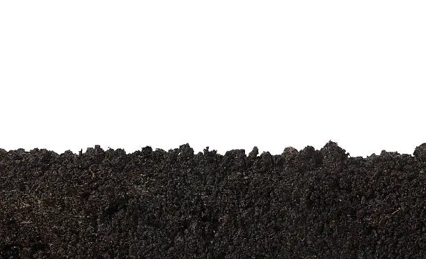 Photo of Soil texture