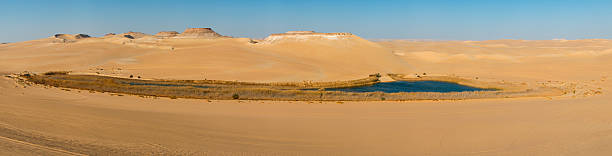 istock Oasis in Sahara desert in Egypt 514736330