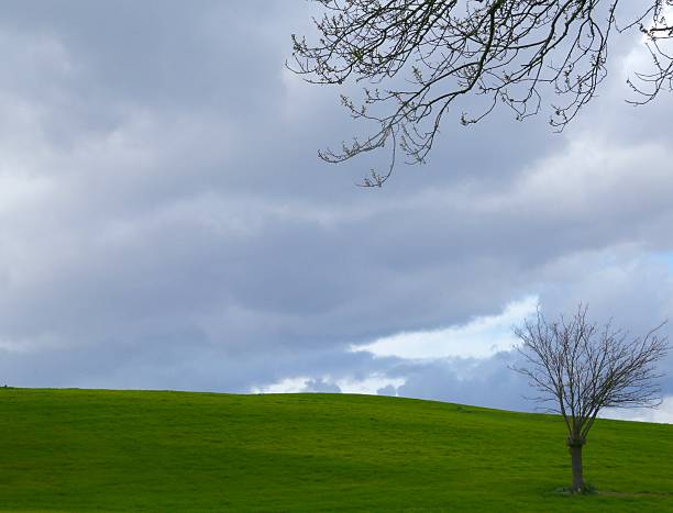 istock Cloudy sky on the green lawn 514738416