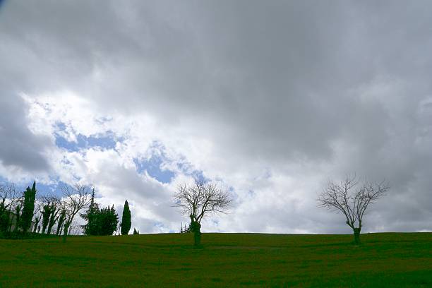 istock Beautiful sky on the green lawn in Spring 514739016