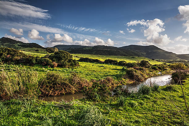 istock Sardinian countryside at sunset 514739770