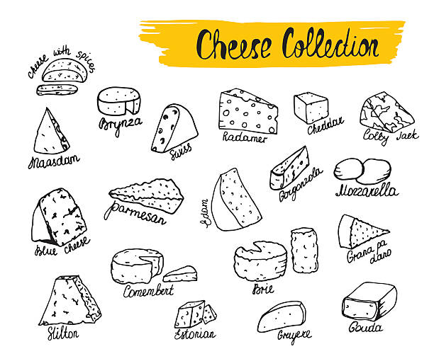 vektor-illustration arten von käse in handgezeichnet stil. - mozzarella stock-grafiken, -clipart, -cartoons und -symbole