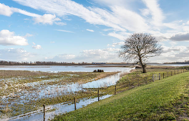 istock Flooded nature area in the Netherlands 514741980