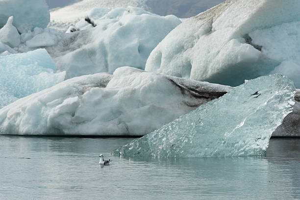 istock Southern Iceland's Jokulsarlon Glacier Lagoon 514755543
