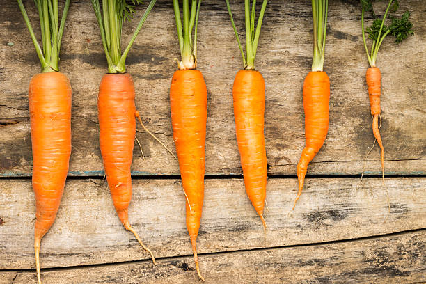 istock Fresh carrots luing on wooden background. Vitamins on the table. 514756795
