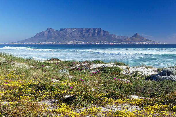 mont table mountain depuis bloubergstrand, west beach - table mountain afrique du sud photos et images de collection