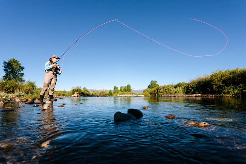 Aerial drone photograph of the back view of a senior man salmon fishing in Scotland. He is standing in a wide river, wearing waterproof waders and holding a fishing rod as he moves around the river trying to catch a fish, which requires patience, skill and luck!