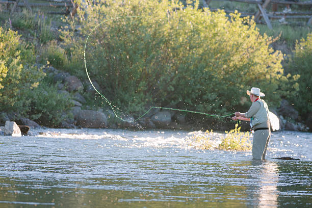 istock Fly fishing, Yellowstone 514757951