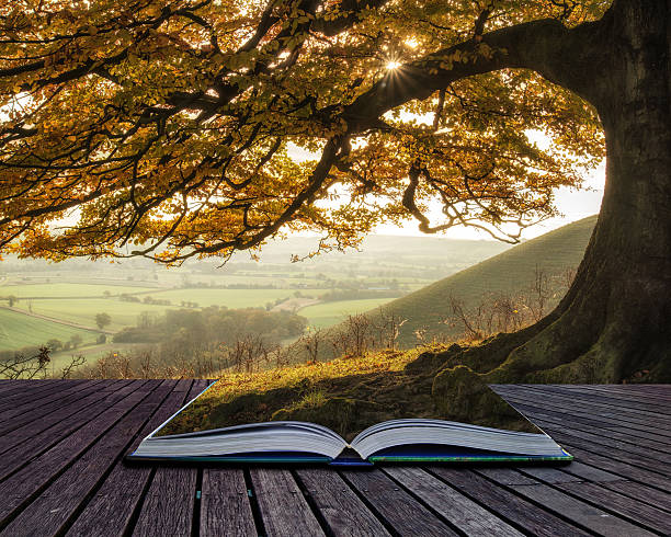 istock Book concept Stunning Autumn morning sunlight lights landscape t 514758221