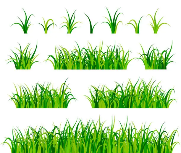 Vector illustration of Green grass set