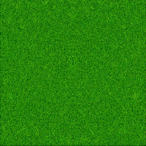 Vector illustration of Green grass texture background