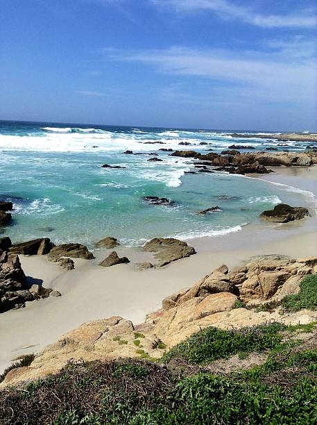 istock Del Monte Forest Beach on 17 Mile Lane 514767992