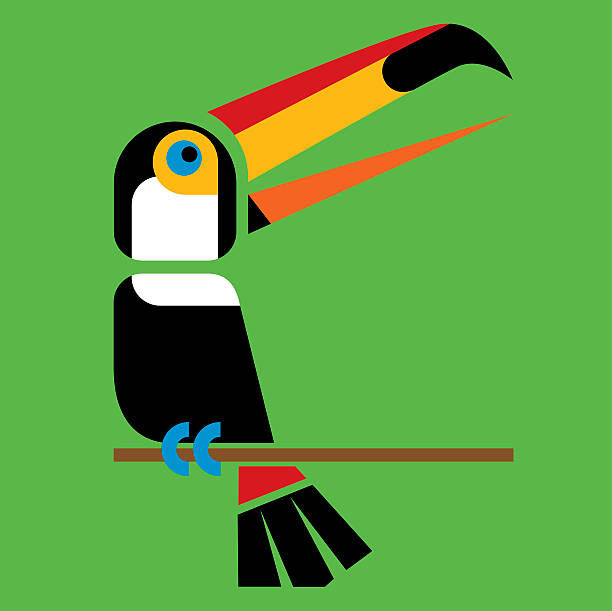 Toucan 1 vector art illustration