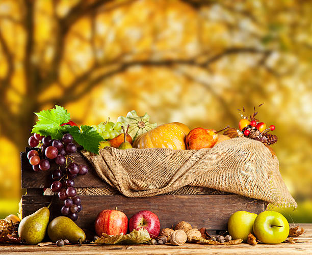 istock Autumn colored pumpkins in wooden box 514771823
