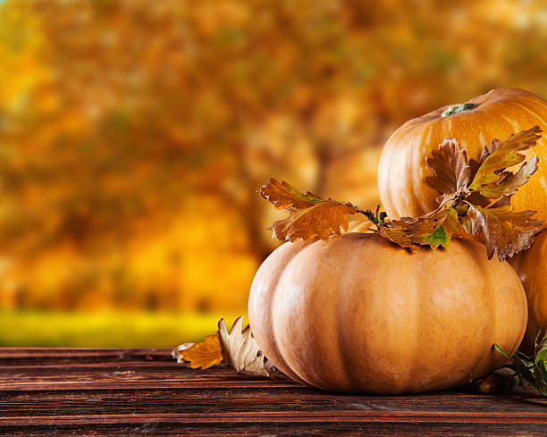 Autumn colored pumpkins on wooden table stock photo