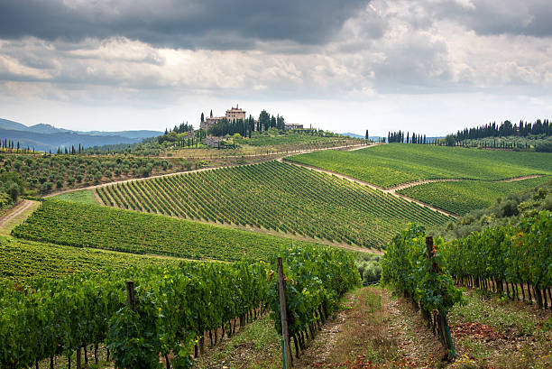 istock Tuscan Countryside with Farm and Vineyards 514772179