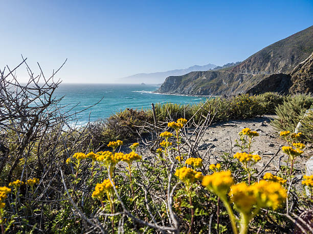 istock sand beach on Highway 1, Big Sur, CA, USA 514773547