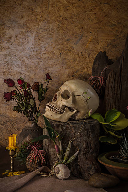 istock Still life with a human skull with desert plants, cactus, 514773975