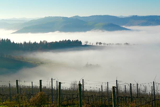 Fog in the Romagna Apennines stock photo