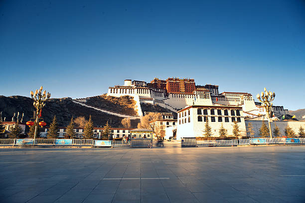 Potala palace in the flowers.