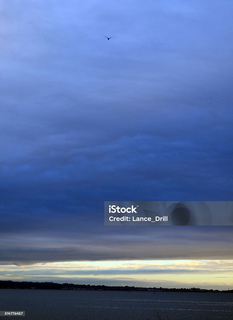 Marsh Storm At the Arcata Marsh with a Winter Storm brewing.  Humboldt, California. Arcata - California Stock Photo