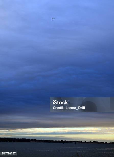 Marsh Storm Stock Photo - Download Image Now - Arcata - California, California, Landscape - Scenery